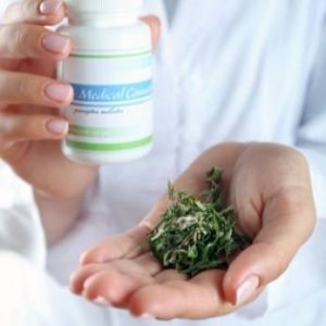 99 plant grow license